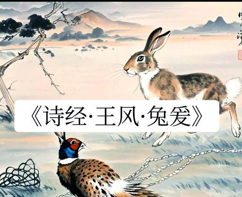 诗经中野性的象征花有哪些？
