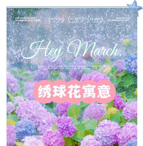 哪些花朵寓意好？它们各自代表什么含义？