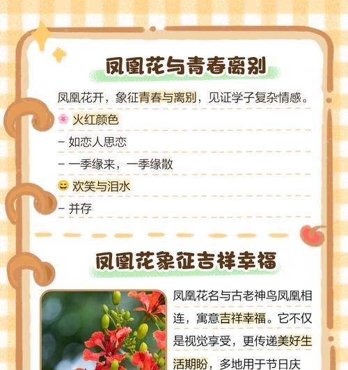 花开放的花语及其象征意义是什么？