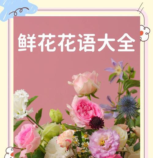 各种鲜花的寓意是什么？它们各自在花语中代表了什么？