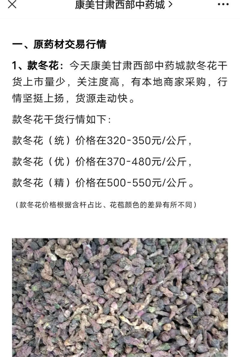 哪些冬花象征着深厚的友谊？这些冬花的花语是什么？