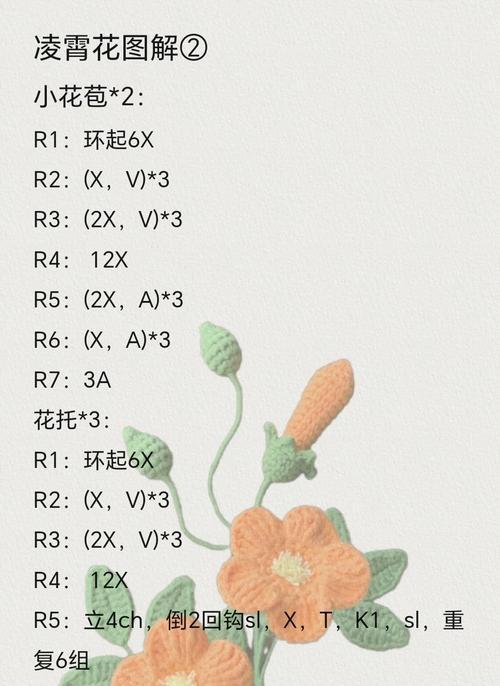 灵肖花的含义是什么？灵肖花象征着什么？