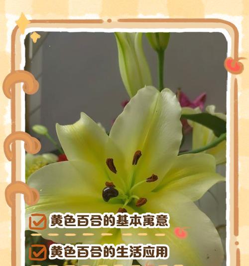 百和花的花语及其代表意义是什么？