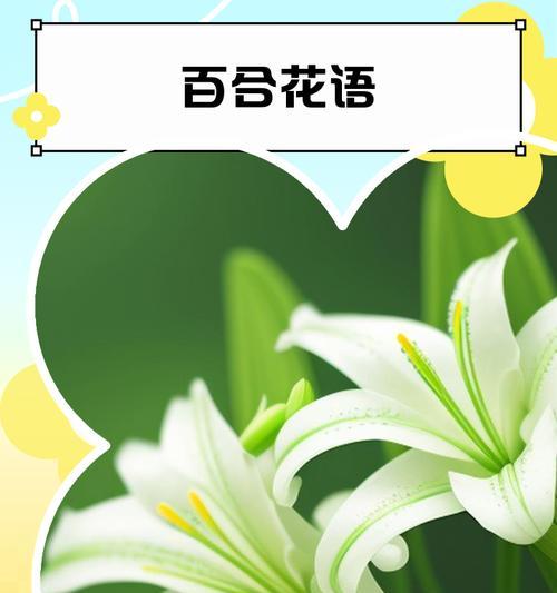 百和花的花语及其代表意义是什么？