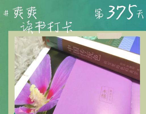 林花的含义是什么？林花在自然界和文化中有哪些象征意义？
