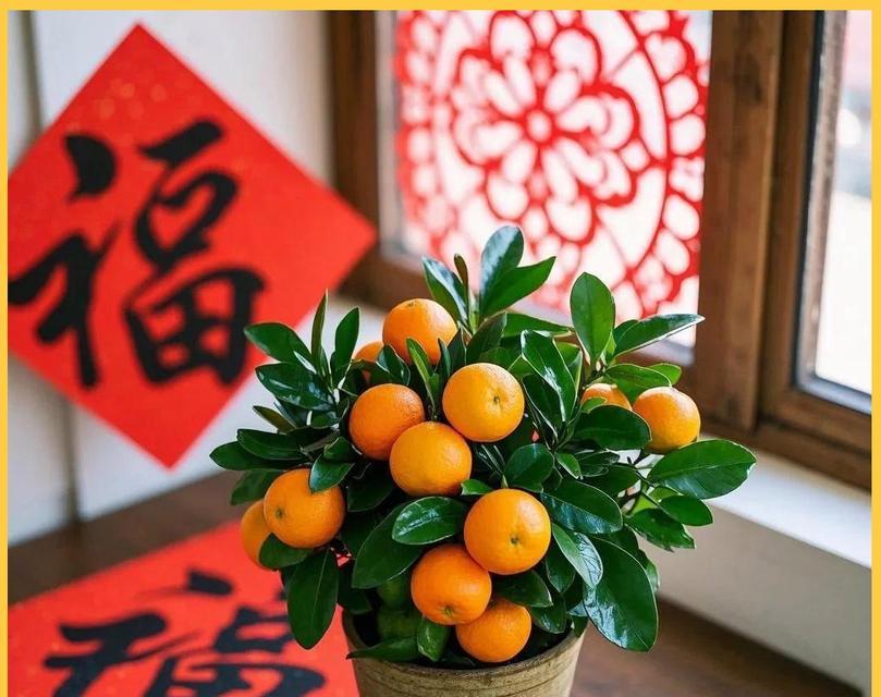 桔花组合象征意义是什么？年桔周围花有何寓意？