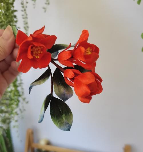 红色花簪子的含义是什么？红色花簪子象征什么？