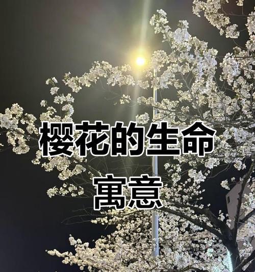 樱花花语是什么？春天与希望的代表！