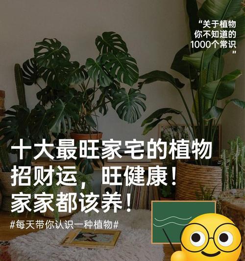 花卉种子中哪些寓意吉祥？如何选择寓意吉祥的花卉种子？