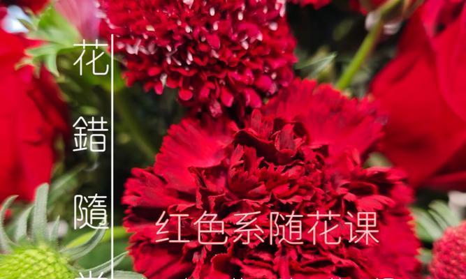 五朵红色花的含义是什么？红色花朵的象征意义有哪些？