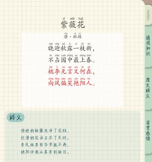 紫薇花花语包含哪些情感？如何解读紫薇花的象征意义？