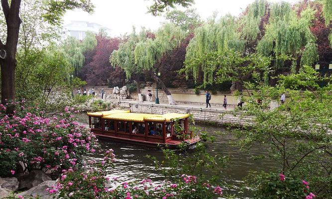 济南的象征花卉是什么？它代表了什么？
