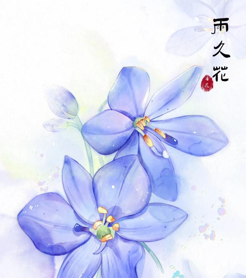蓝色花的寓意是什么？如何用蓝色花卉表达情感？
