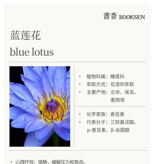 蓝莲花的花语及其深层含义如何理解？