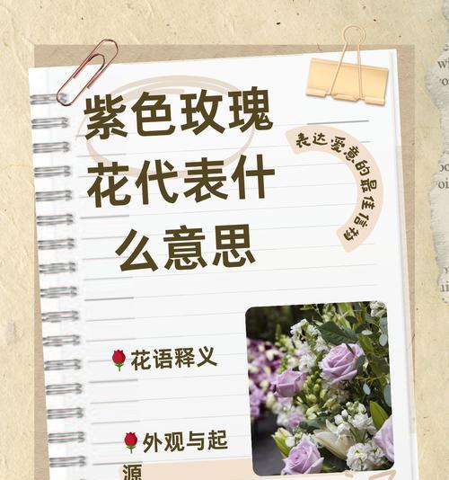 哪种花象征保护和代表守护的花卉花语是什么？