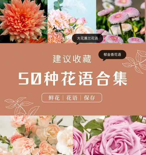哪种花卉的花语最特别？独特花语的花卉有哪些？