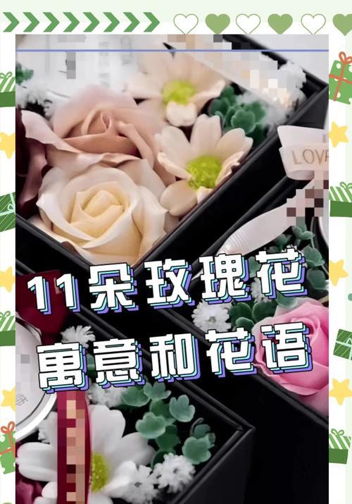玫瑰花的花语和象征是什么？玫瑰花代表了哪些寓意？