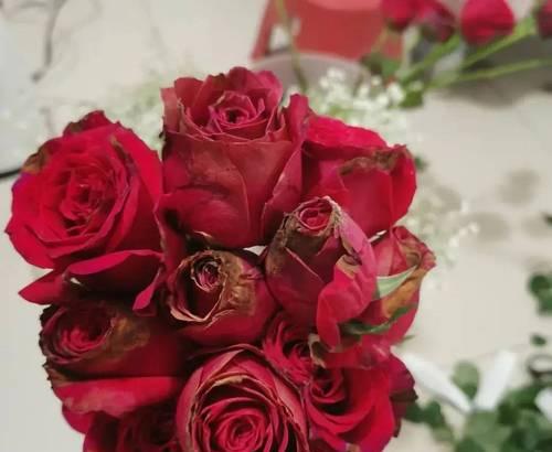 送老公的花代表什么？它们在婚姻中象征着什么？