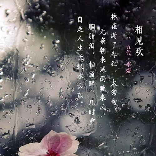“林花谢了春红”这句诗的寓意是什么？