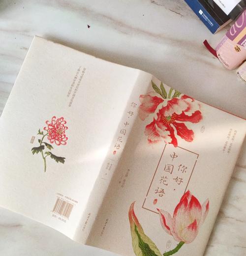 哪些花卉既浪漫又有美好寓意？它们各自象征着什么？