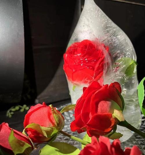 哪些花卉既浪漫又有美好寓意？它们各自象征着什么？