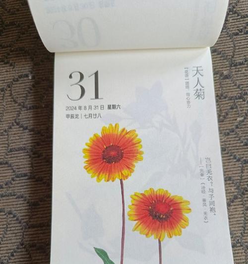 天人菊的花语（传递温暖的花海）