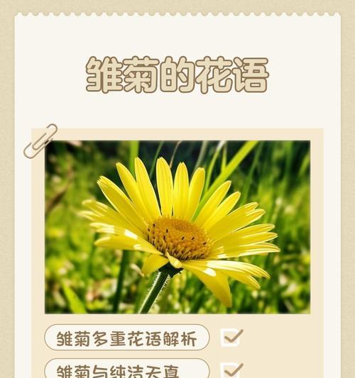 花语暗恋（探寻暗恋之花语，解码心意）