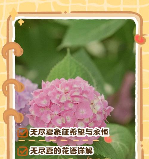 蓝色妖姬（解读蓝色妖姬的象征意义，展现对自由的渴望）