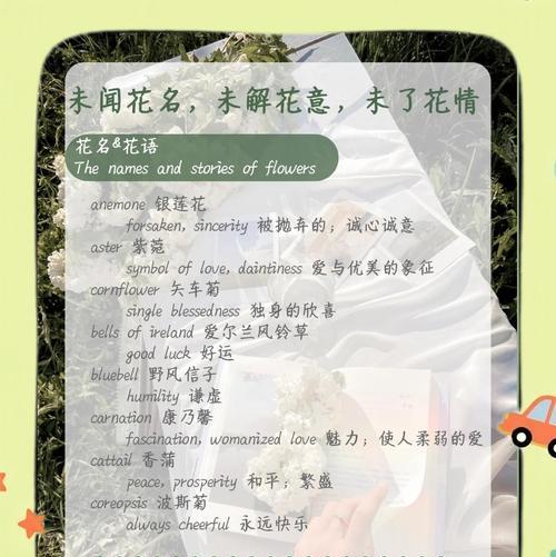 康乃馨花束的意义与象征（探寻康乃馨花束背后的深层含义）