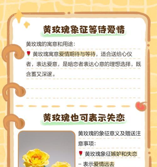 七朵玫瑰的花语含义——浪漫与真爱（揭秘七朵玫瑰的深意，呈现浪漫真爱的花语之谜）