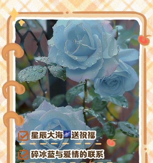 七朵玫瑰的花语含义——浪漫与真爱（揭秘七朵玫瑰的深意，呈现浪漫真爱的花语之谜）