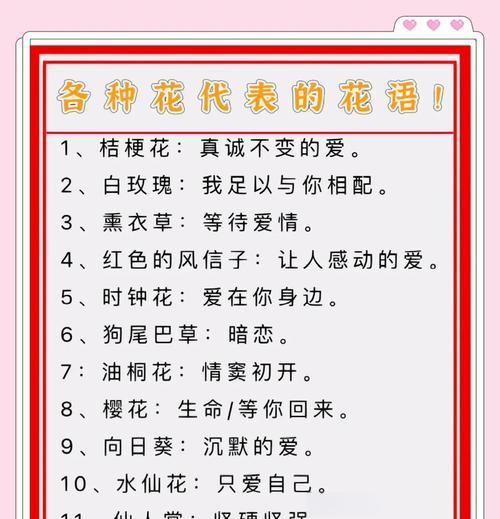 蜀葵花语的象征意义与内涵（探秘蜀葵花背后的寓意与情感）