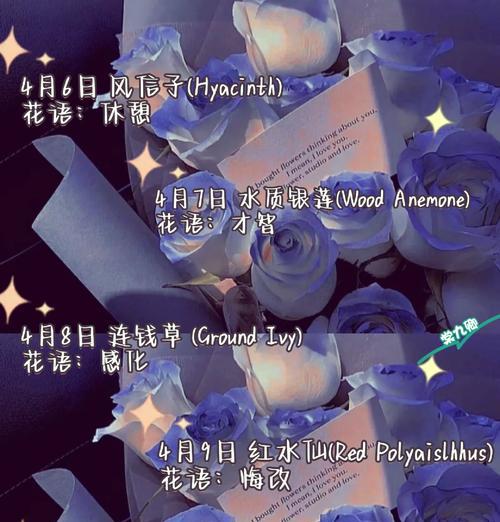 观音莲花（莲花的生命之美与心灵的洁净凝练）