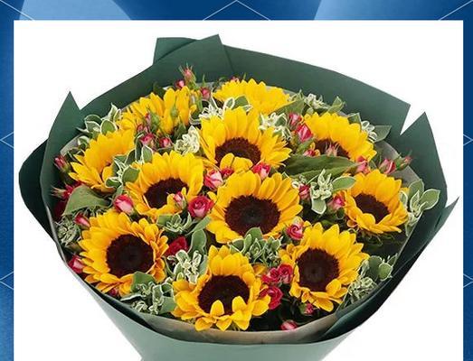 哪种花象征着友情和祝福？友情花的寓意是什么？
