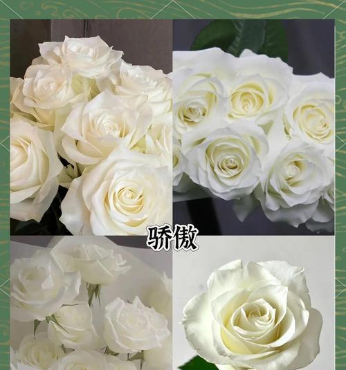 白色花朵代表什么意义？白色花束的象征是什么？