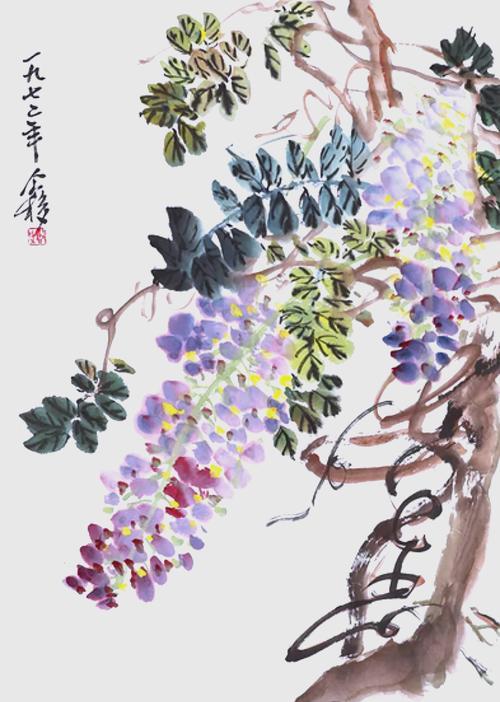 哪些花寓意团圆吉祥？
