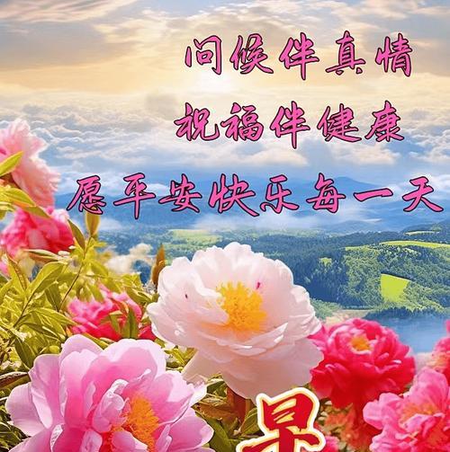什么花象征的健康？如何选择合适的花卉来表达祝福？