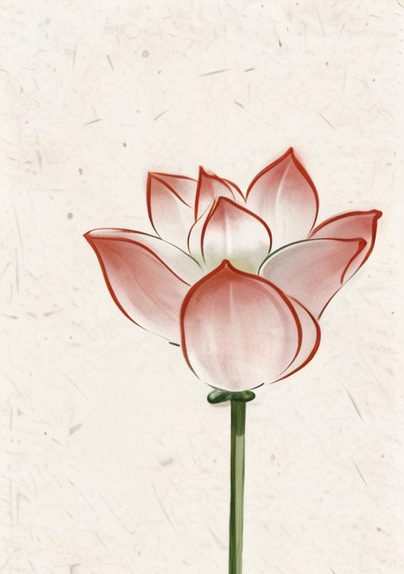 芙蓉花的寓意有什么文化背景？芙蓉花在传统中的地位如何？