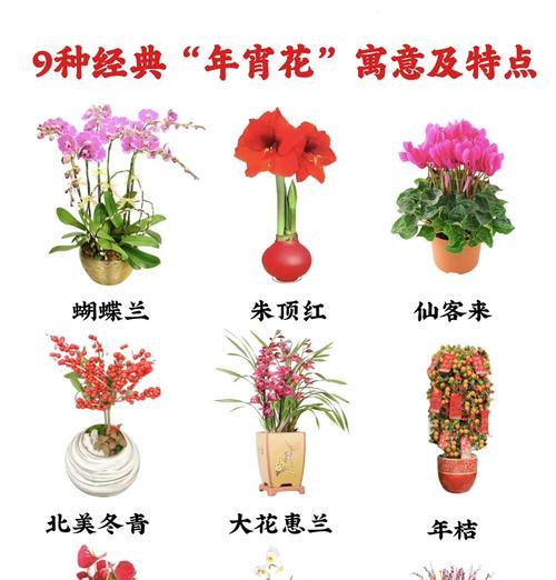 春节餐巾花有何寓意？