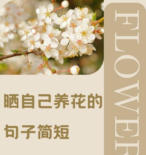 哪些花的寓意是快乐？快乐花语的句子有哪些？