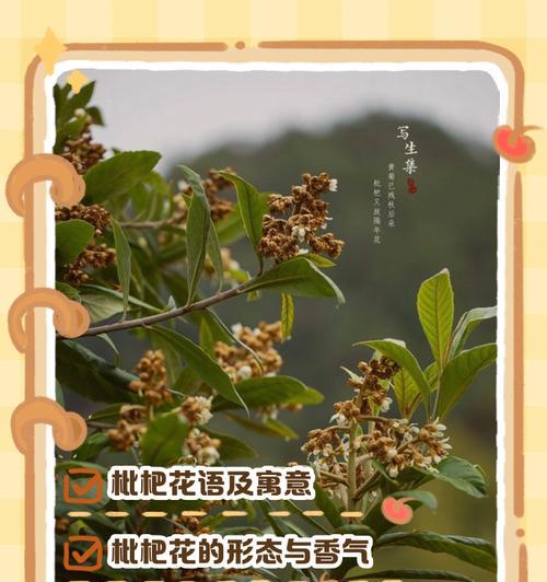 哪些花的寓意是快乐？快乐花语的句子有哪些？
