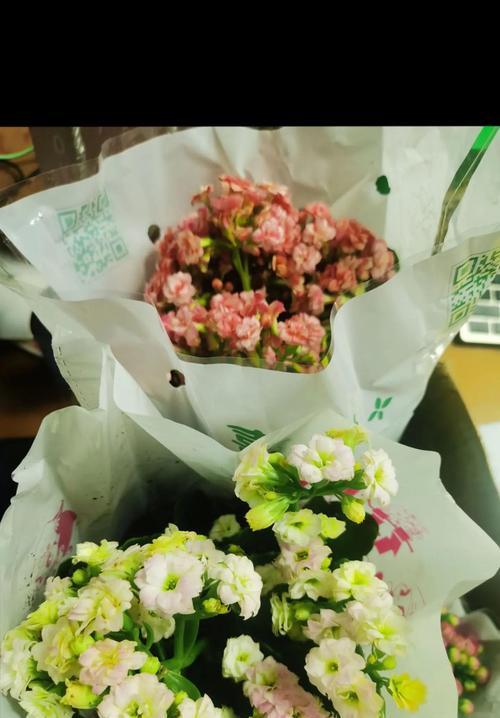 花语能代表健康吗？花语中的健康含义是什么？