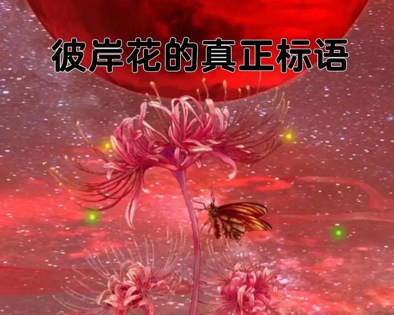 彼岸花在爱情中代表什么意义？它的花语有哪些？