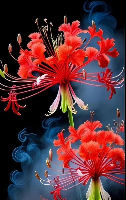 彼岸花在爱情中代表什么意义？它的花语有哪些？
