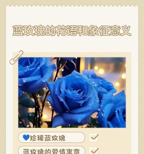 9月份的蓝色花语是什么？