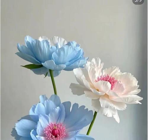 手工花如何表达平安的寓意？平安手工花的花语是什么？