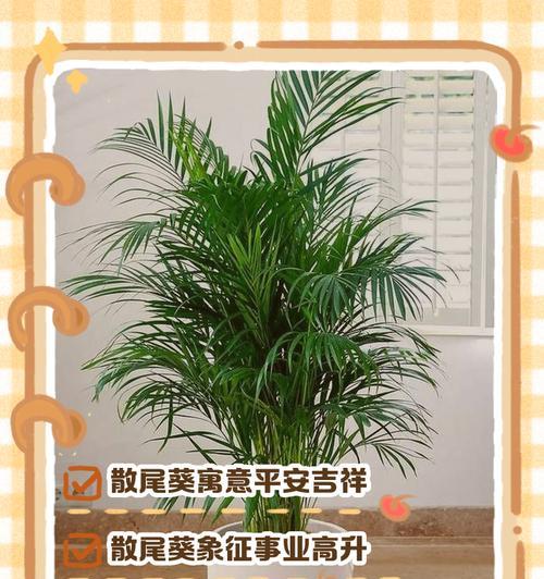 手工花如何表达平安的寓意？平安手工花的花语是什么？