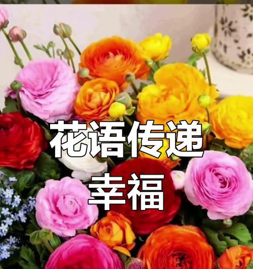 哪种花象征幸福？它的含义是什么？