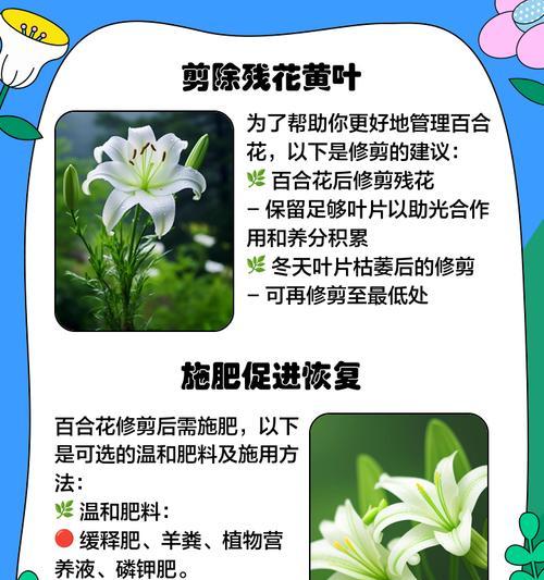 换花节是怎么来的？换花节的意义是什么？
