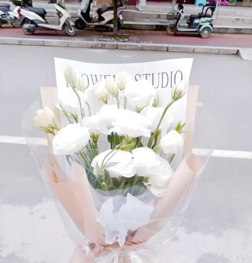 白色桔梗花的花语和象征意义是什么？